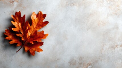 A detailed capture of bright autumn leaves showcasing vivid colors against a neutral background, emphasizing the beauty and transience of seasonal change and nature's palette.