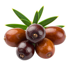 Fototapeta premium Close-up shot of five brown berries with green leaves, arranged on a black background