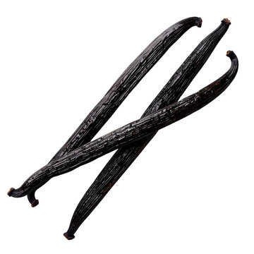 Three long, dark vanilla beans, arranged diagonally, with a detailed textured surface, isolated on black