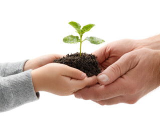 A young child's and adult's hands hold a small seedling