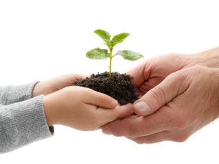 A young child's and adult's hands hold a small seedling