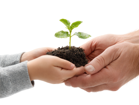 A young child's and adult's hands hold a small seedling