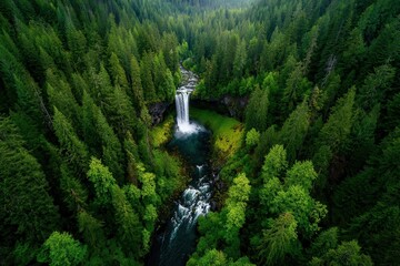 Aerial view of a powerful waterfall cascading through a lush green forest