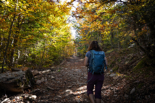 Chica recogiendo setas en Oto&ntilde;o, Pirineo Catal&aacute;n