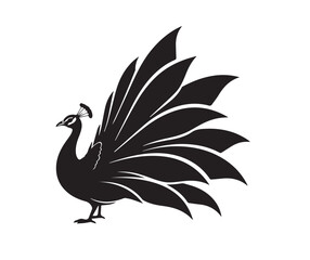Black silhouette of a peacock with fanned tail feathers on a white background bird