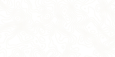 Topography background. Vector banner. Topography map background. Vector geographic contour map. Background of the topographic map. Topographic map lines, contour background.	