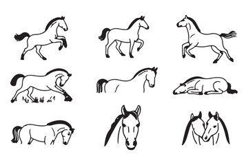 Horse Outline  Line Art Sketches Set of Various Poses vector art Illustration.