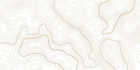 Topographic map pattern background vector. Abstract mountain terrain map background with abstract shape line texture. Design illustration for wall art, fabric, banner, wallpaper. © MstMomena
