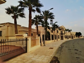 Palm trees along luxury villa street at sunrise, tropical residential area in Mediterranean architecture