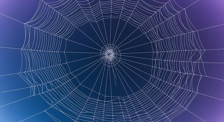 Obraz premium Intricate spiderweb glistens against a stunning blue and purple gradient sky, perfect for Halloween themes