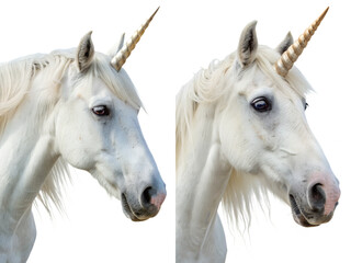 Obraz premium Majestic unicorn portrait with flowing mane and sparkling horn, mythical creature isolated on transparent background