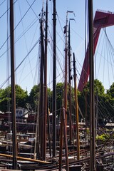 Towering masts and intricate rigging of historic sailing ships set against a vibrant backdrop of trees and waterfront scenery. © paws and prints