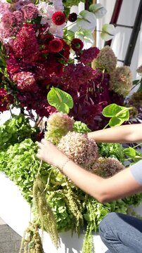 Florist adds amaranth to a wedding floral arrangement in white, green and red tones. Festive arch with white fabric