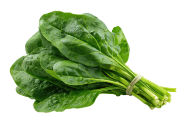 Fresh spinach leaves tied together (1)