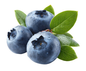 Obraz premium Fresh blueberries with leaves, close-up
