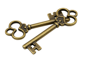Isolated old fashioned skeleton keys with intricate ornamentation, antique treasure