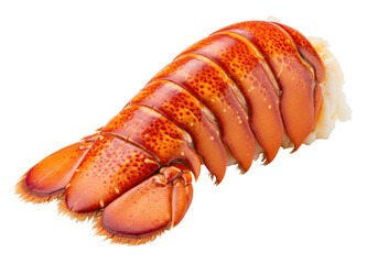 Isolated lobster tail meat, orange and red shellfish, prepared, fresh seafood food ready to eat