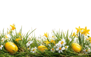 Easter-themed floral border. Yellow eggs nestled in a meadow of grass, daisies, and daffodils