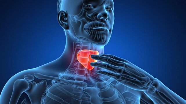 Thyroid Gland Awareness Understanding Anatomy Symptoms and Potential Health Concerns Learn About Neck Pain Aches and