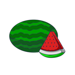 watermelon slice vector illustration