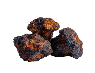 Three dried, dark-brown and orange mushrooms clustered together, close-up