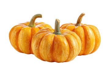 Obraz premium Three small, vibrant orange pumpkins