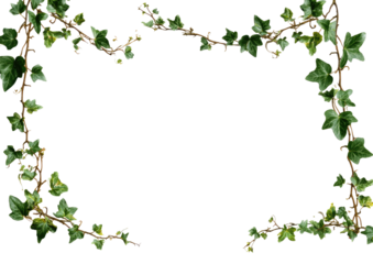 Green ivy vine border on black background