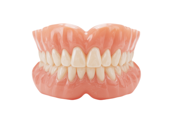 Full dental denture,  pink base,  white teeth,  close-up