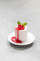 Vegan Red Currant Panna Cotta. Red Currant Cream pudding cylindrical shape. With sauce. On a plate. Light background. 