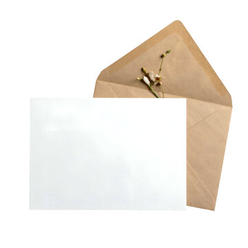 Blank white card in an opened brown envelope with a small sprig against a black background