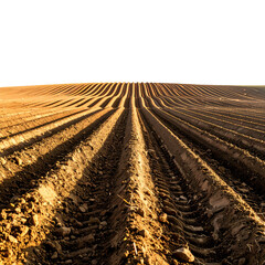 Furrowed farmland under a deep black sky, showing rows of freshly tilled soil