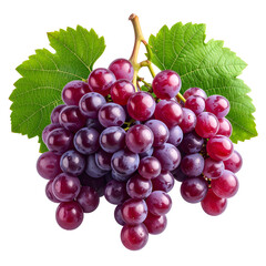A bunch of red grapes with leaves, a transparent background for versatile use