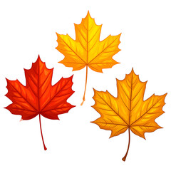 Fototapeta premium Three stylized, colorful maple leaves in shades of red, orange, and yellow against black