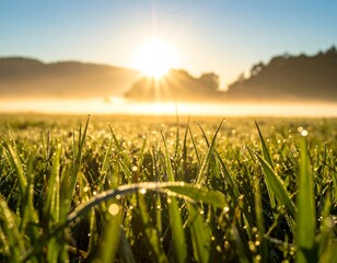 Sunrise over a dewy field, with light and grass details
