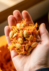 Close-up of a hand holding fresh pumpkin seeds with orange pumpkin pulp, ready for roasting or planting. Warm natural light highlights the textures of the seeds and pumpkin fibers.