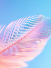 Colorful feather floats gently against a soft blue background, showcasing delicate details