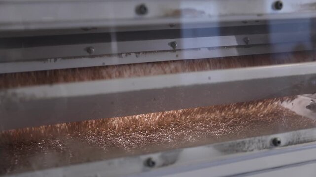 Dry wheat grains pour down onto vibrating platform after sorting operation in modern flour making mill. Golden kernels transporting by automatic machine tool in production workshop closeup