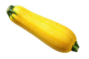 A single, bright yellow zucchini, angled diagonally, rests against a pure black background.  Its skin is slightly textured, and small green stem ends protrude from each end