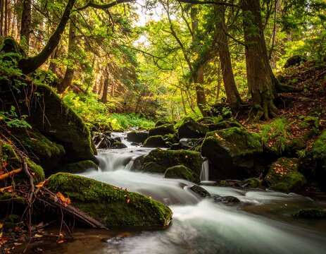 A serene forest scene depicts a flowing stream cascading over moss-covered rocks. Lush green trees and foliage surround the water, creating a tranquil, nature-filled landscape - Powered by Adobe
