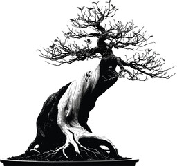 Dramatic Bonsai Silhouette - Twisted Trunk and Sparse Leaves in High Contrast Black and White Art