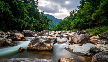 A scenic river flows through a lush green forest, with large rocks in the water and mountains in the distance under a cloudy sky
