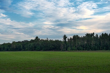 Forest at Edge of Farm Field Under Cloudy Sky
