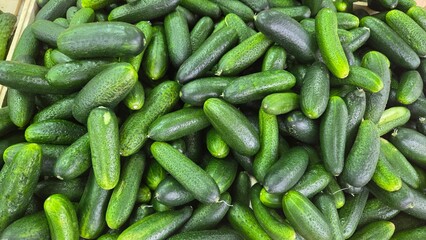 Fresh green cucumbers harvested for farmers market display and sale