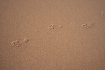 footprints in sand