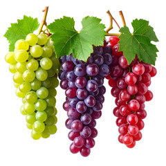Obraz premium Three grape bunches, green, purple, and red, with vibrant leaves against a black background