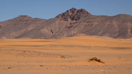 A trip to Sahara desert in Algeria. Beautiful african travel photo. Sandy landscapes, mountains, rocks, dunes, and nature. Summer vacation in arab country.