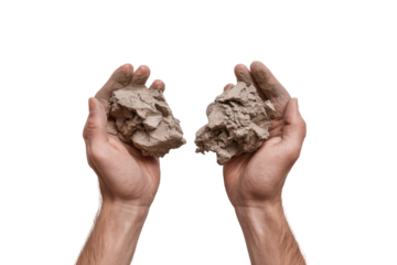 Two hands hold clumps of light gray-brown material