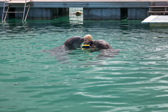 Girl swimming with dolphins kissing her in sea   Girl swimming with dolphins kissing her in sea   