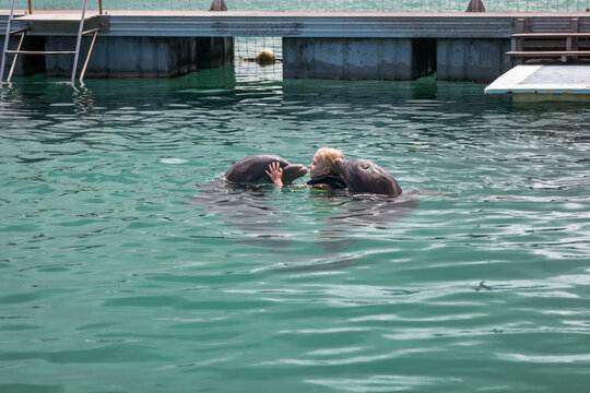 Little girl hugging with dolphins during swimming 