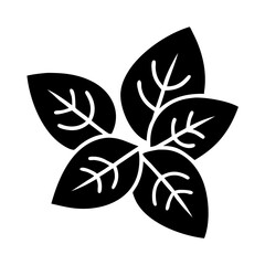 Illustration of fresh basil leaves, a culinary herb used in cooking